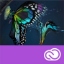 Obrázek Adobe Premiere Pro for Teams Win/Mac ENG COM, 12 měsíců (elektronická licence)